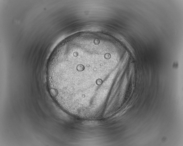 X0000091311083200709071109