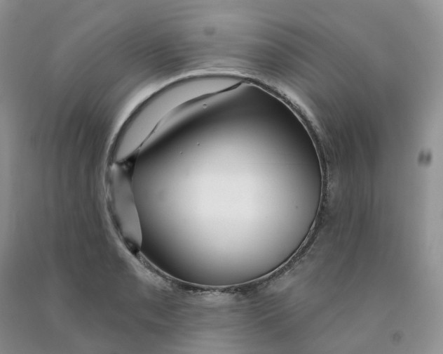 X0000091311085200709071109