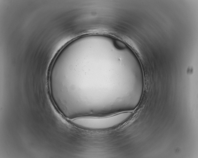 X0000091311087200709071109