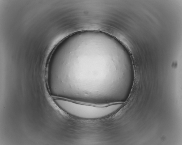 X0000091311088200709071109