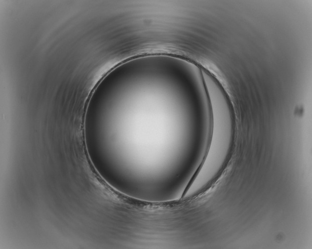 X0000091311089200709071109