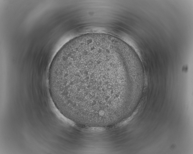 X0000091311090200709071109