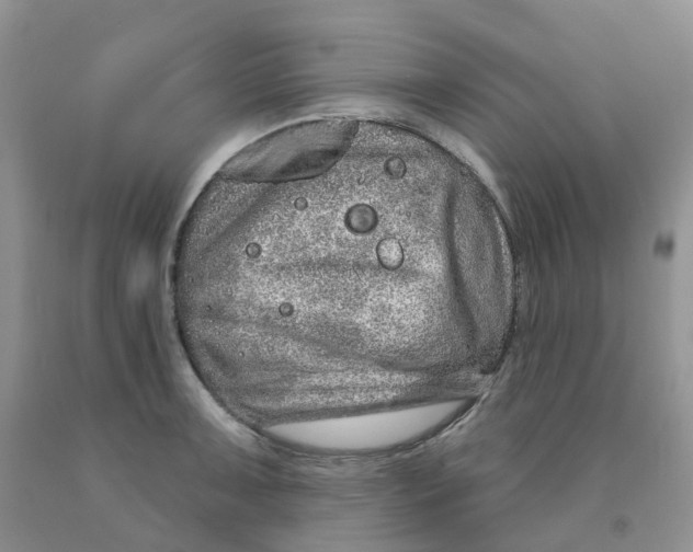 X0000091311091200709071109