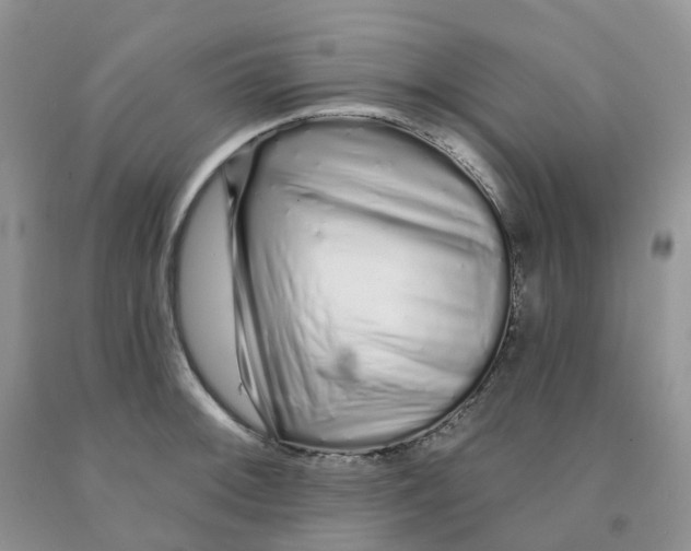 X0000091311092200709071109