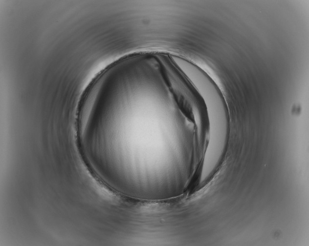 X0000091311093200709071109