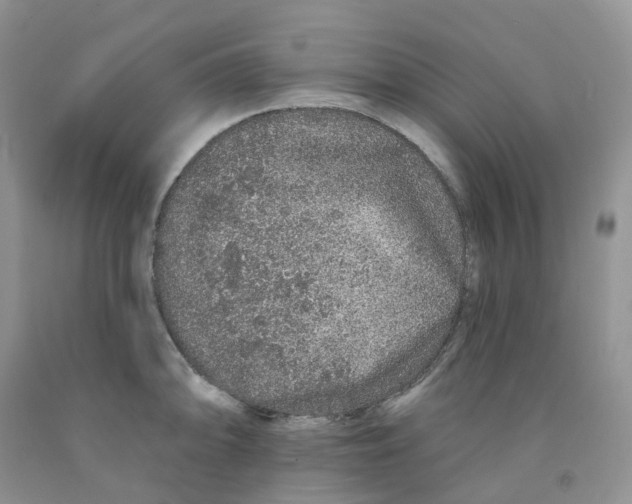 X0000091311094200709071109