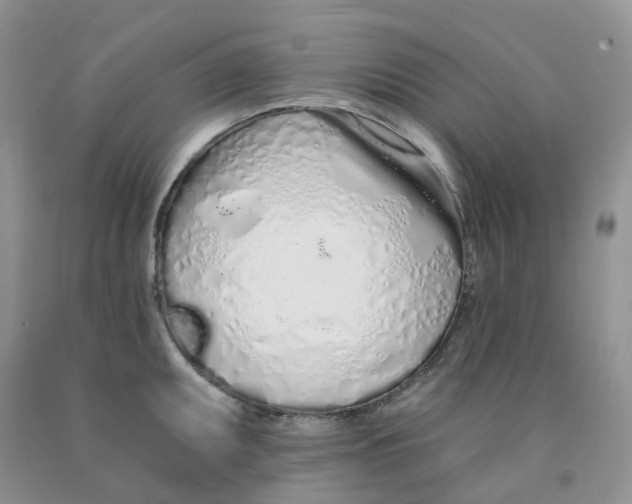 X0000091311095200709071109