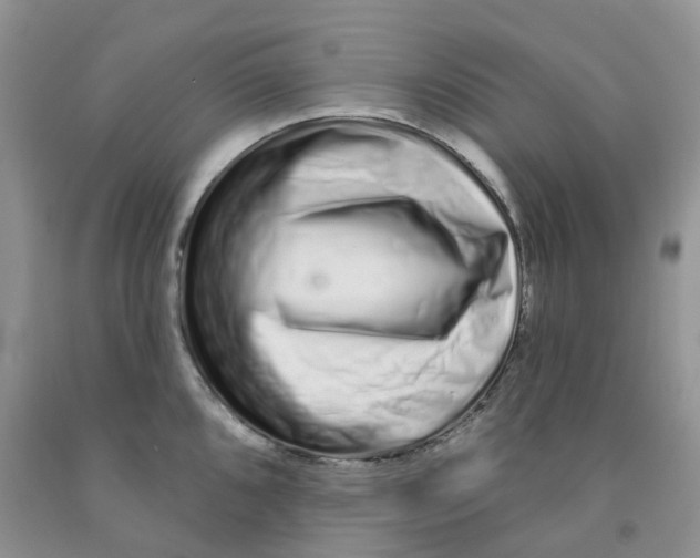 X0000091311096200709071109