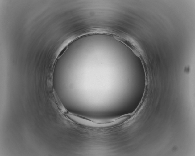 X0000091311097200709071109