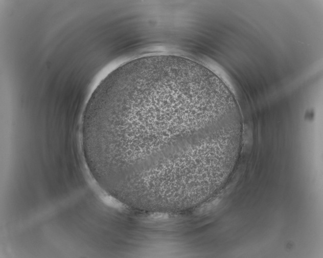 X0000091311098200709071109