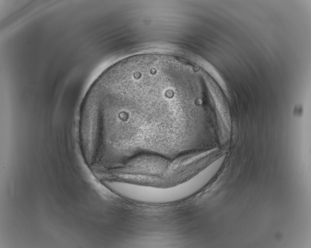 X0000091311099200709071109