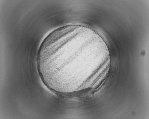 X0000091311100200709071109