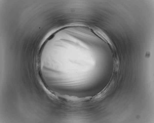 X0000091311101200709071109