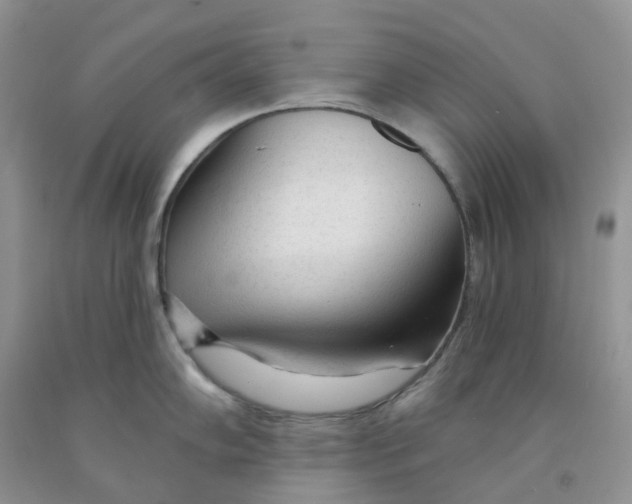 X0000091311102200709071109