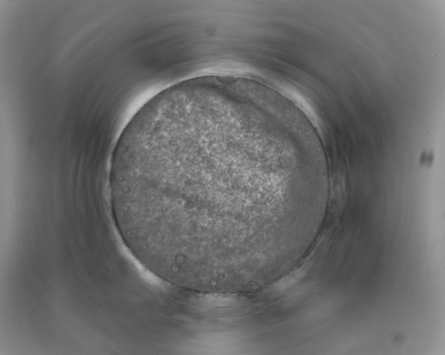 X0000091311103200709071109