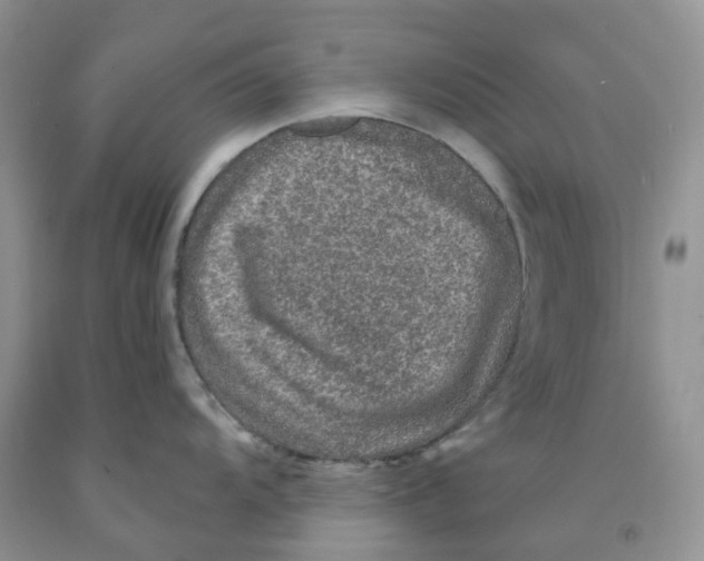 X0000091311104200709071109