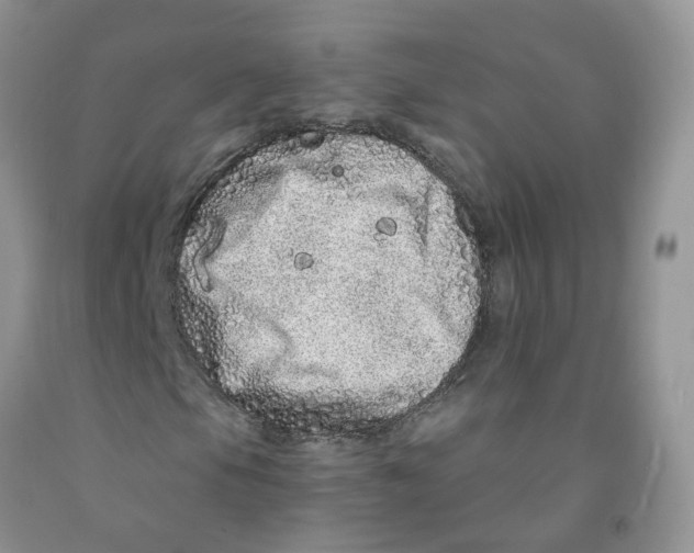 X0000091311105200709071108