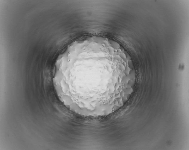 X0000091311106200709071108