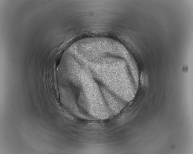 X0000091311107200709071108