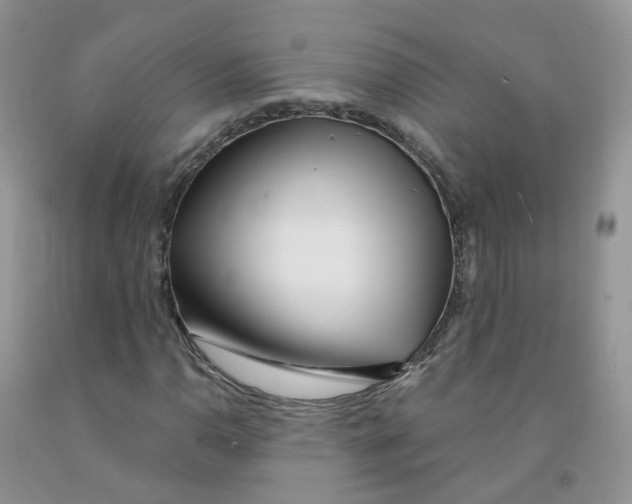 X0000091311110200709071108