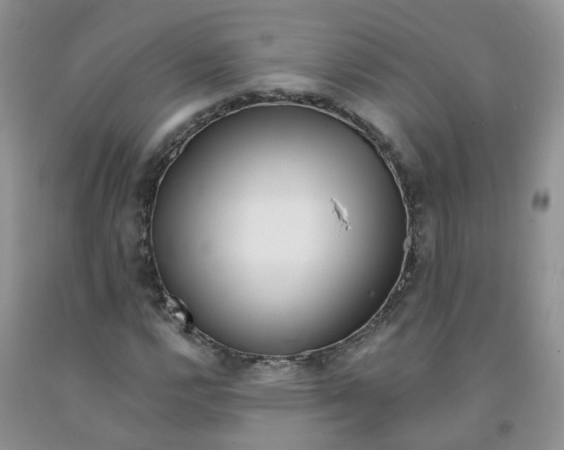 X0000091311112200709071108