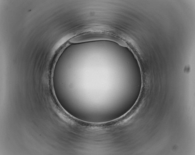 X0000091311114200709071108