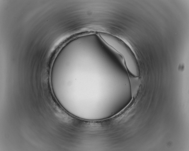 X0000091311115200709071108