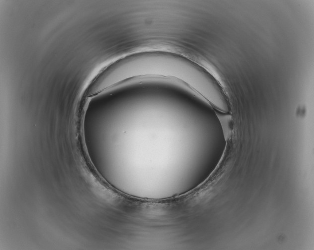 X0000091311116200709071108