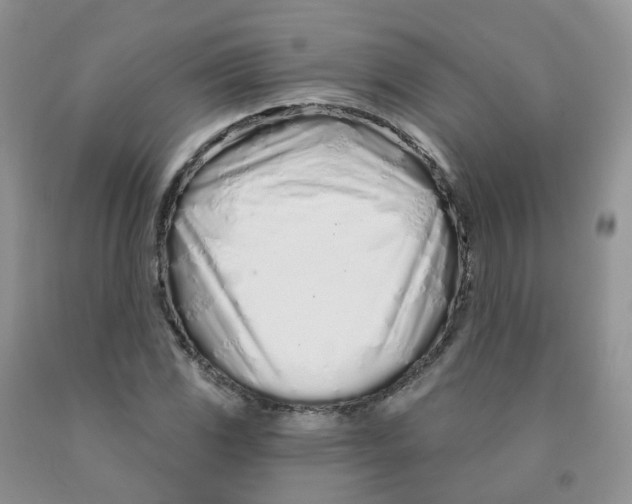 X0000091311117200709071108