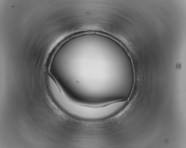 X0000091311118200709071108