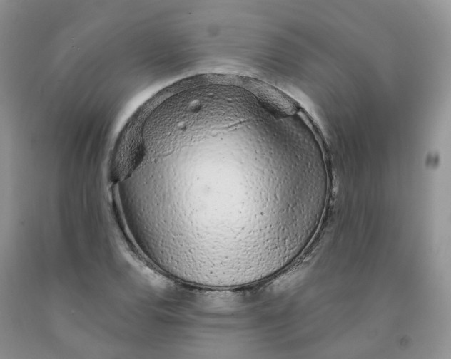 X0000091311120200709071108