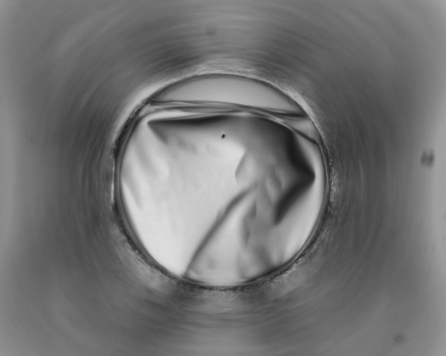 X0000091311123200709071108