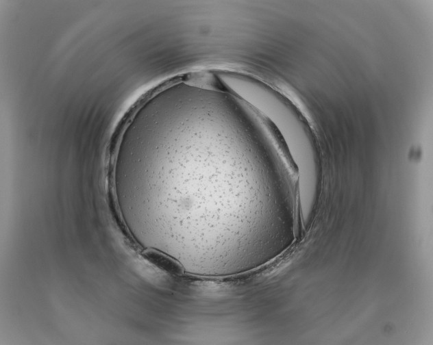 X0000091311124200709071108