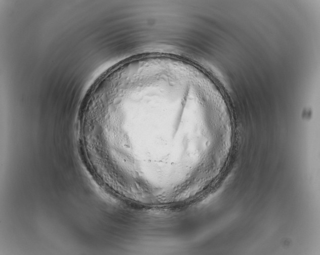 X0000091311125200709071108