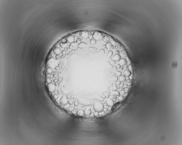 X0000091311126200709071108