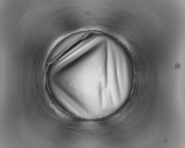 X0000091311127200709071108