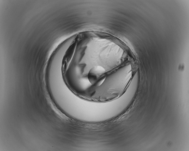 X0000091311128200709071108