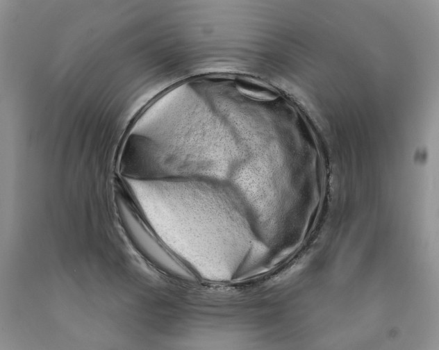 X0000091311129200709071108