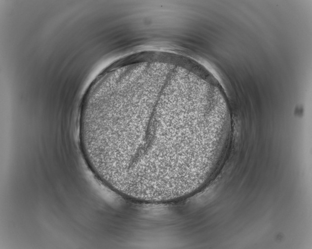 X0000091311131200709071108