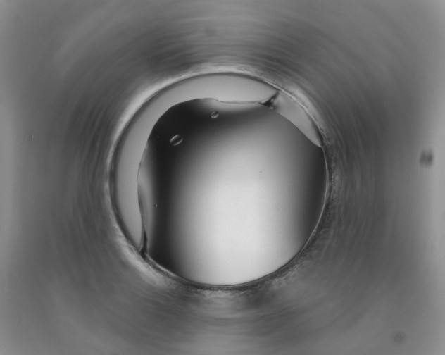 X0000091311132200709071108