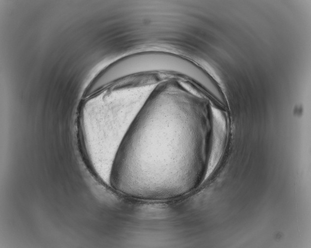 X0000091311133200709071109