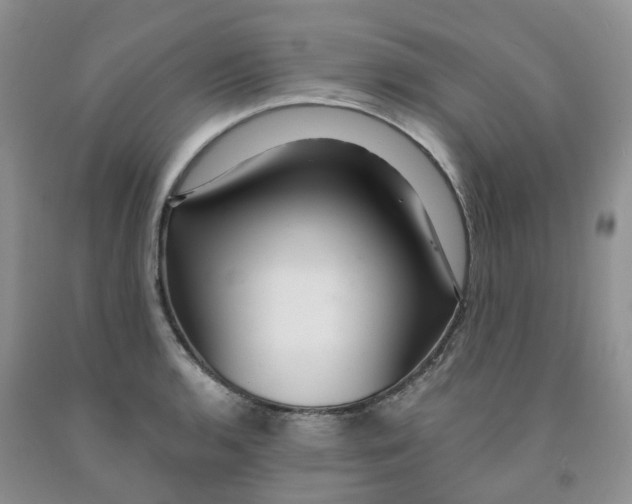 X0000091311136200709071109