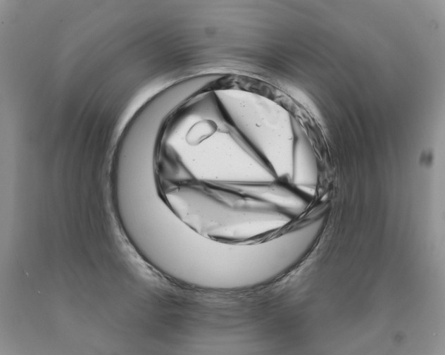 X0000091311138200709071109