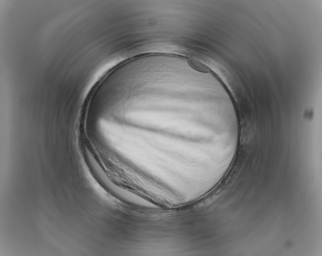 X0000091311139200709071109