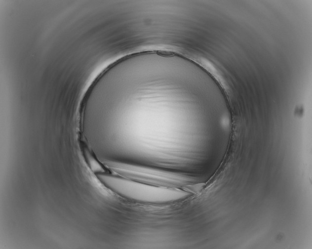 X0000091311140200709071109