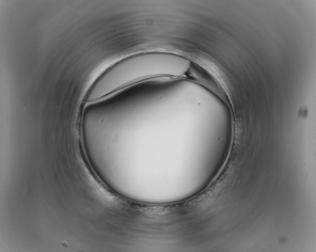 X0000091311141200709071109