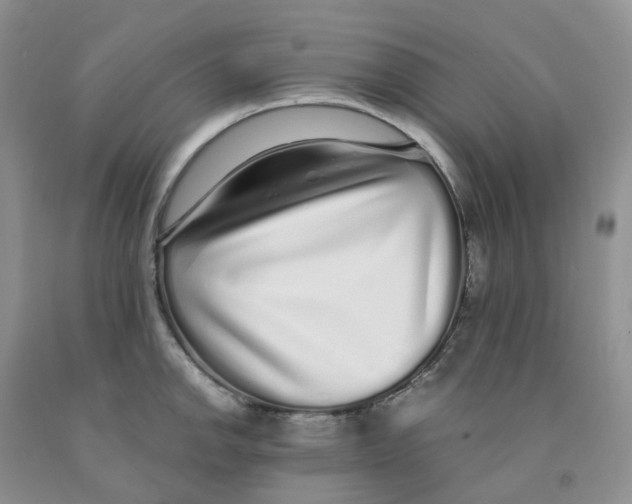 X0000091311142200709071109