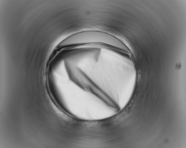 X0000091311143200709071109