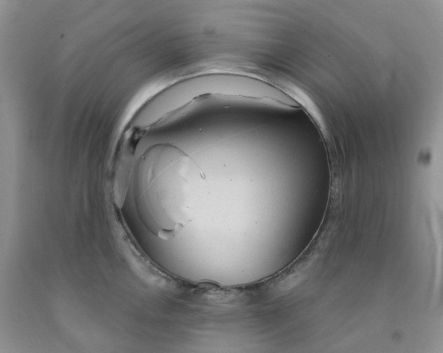 X0000091311146200709071109