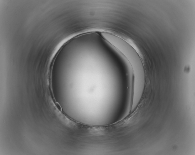 X0000091311148200709071109